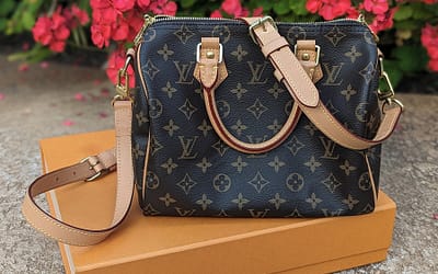 Pre loved Louis Vuitton Bags Bandeloure Speedy 25 handbag at bargain!